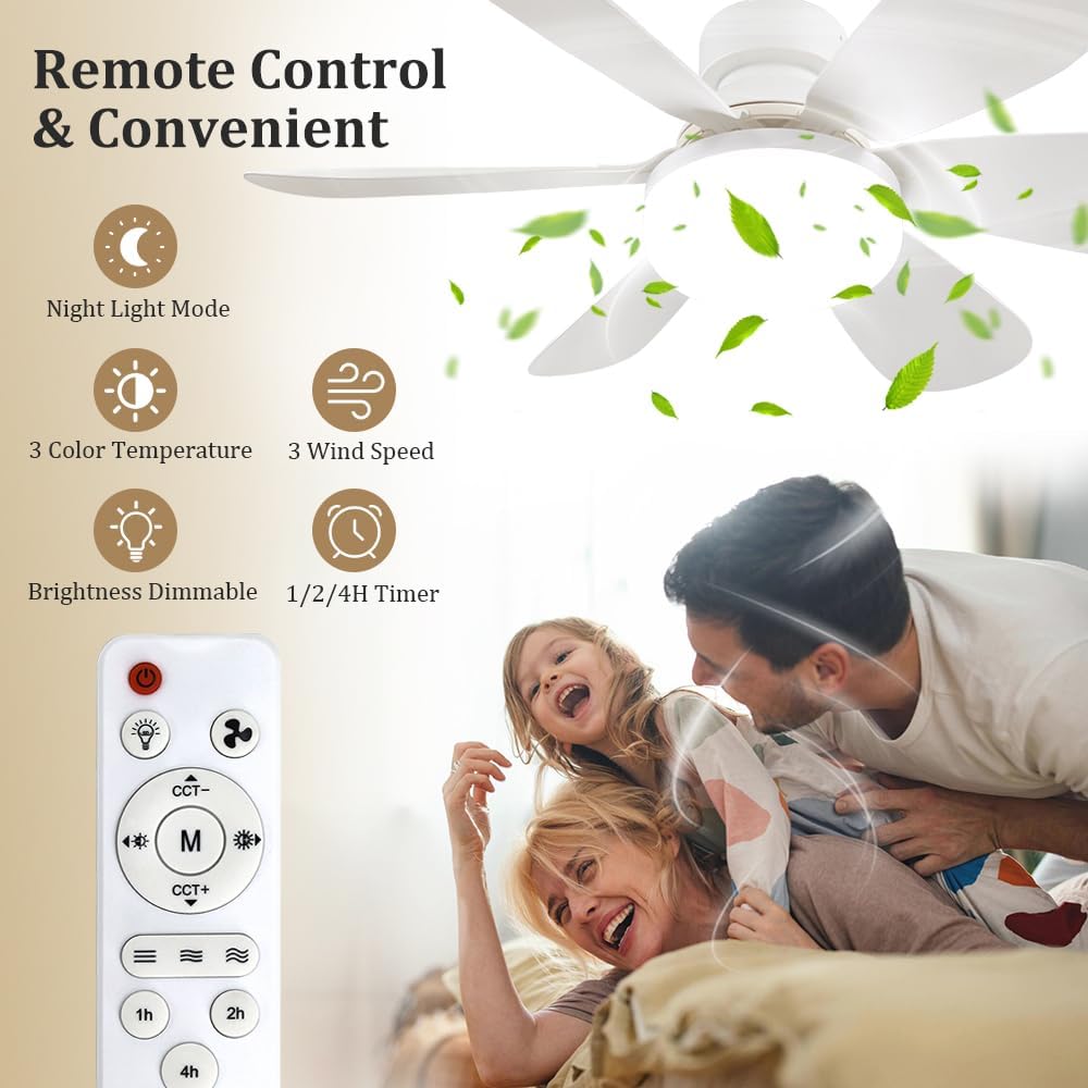 Sockel-Ventilator mit Fernbedi – Home Decor Light Bewertung und Preis